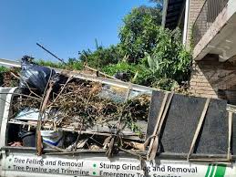 Retail Junk Removal in Mound Bayou, MS